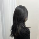 오엔조