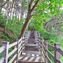 화적연1 이미지