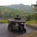 철쭉동산 이미지