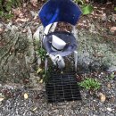 브라보캠핑장 이미지