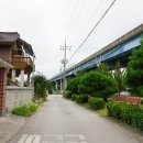 나안경로당 네이버블로그