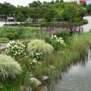 한강신도시호수공원 이미지