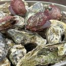 정현축사 이미지