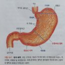 탈수의 증상들/ 저체중 - 3. 저체중 극복법 - 당신은 반드시 살찔 수 있다. 이미지