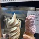 30CM아이스크림 네이버블로그