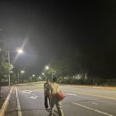 바다소풍 이미지