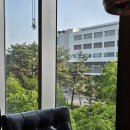 한우의 참맛! 경성89 수원광교본점 리뷰, 광교 소고기맛집 추천