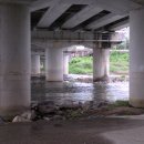 하늘꿈약국 이미지