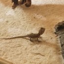 더베스트샾 이미지