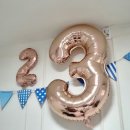 북울진도서관 | DSP 북다이어리 이야기 &amp; 꽃,나무그림책 추천