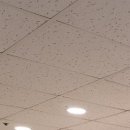 박플란트치과의원 이미지