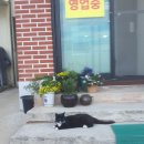 소반정 - 구미시 | 강화도 젓국갈비 소반정 방문후기~ 내돈내산 직접가보고 쓰는 찐후기!