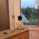 아이프스테이 이미지