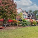 시간여행 펜션 이미지