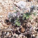 해품은농장 이미지