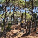 곡성-034 티스토리