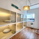 개린이 유치원 이미지