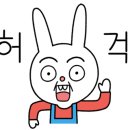 가람애견미용샵 이미지