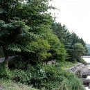 숲속의야영장 이미지