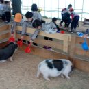 남산초교병설유치원 이미지