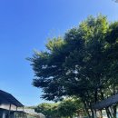 13월의아침 이미지