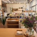 아그리나 D 이미지