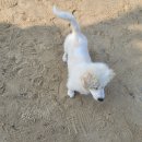 하늘과 바다사이 이미지