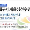 2011대구세계육상선수권대회 참관안내 이미지