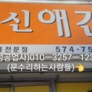 신애견