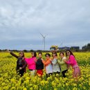 (주)제주미니버스투어서비스 | 제주도 미니버스 투어 기사포함 부담스러운 운전 없이 편안했던 제주 여행