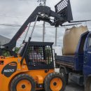 충북염소농장 이미지