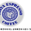 케이투레드페이스