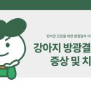 신호동물병원 이미지