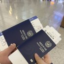 네네치킨 이충장당점 | 🇨🇳상하이 4박 5일여행 ~1일차~ 야경을 찾아서✨(중국동방항공 비즈니스 라운지/그랜드마더 레스토랑...