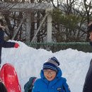 월곡체육관(태권도) 이미지