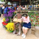 분당-11 | 분당 허벅지 지방추출주사 3개월 후기 –11kg 다이어트 기록