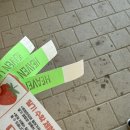 흙사랑3농장 | 용인가볼만한곳::헤븐온어스(동물먹이주기, 딸기농장체험)