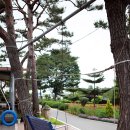 남산농장 이미지