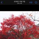 약천산장