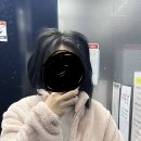 동대문 루시드 동물메디컬센터 이미지