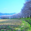 달맞이펜션 이미지