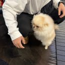 128-금촌2-128 | 키스짐_금촌 | 24시간 헬스장 /초대형 헬스장 /150대가 넘는 헬스기구 /금촌헬스장 /금릉헬스장