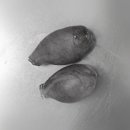 백호동물병원 이미지