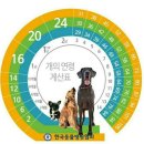 쿨펫동물병원 이미지