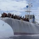 남태평양참치 이미지