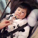 동수원 뉴코아 앞 이미지