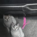 도안누리여성의원 이미지