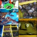 호텔 금강 이미지