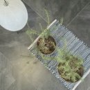 용지동행정복지센터 | [창원/용호동] 가로수길 여유를 즐길 수 있는 조용한 카페 '변화(Byunhwa)'