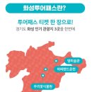 엄미술관 | 화성 하피랜드 엄미술관 화성투어패스로 다녀온 후기